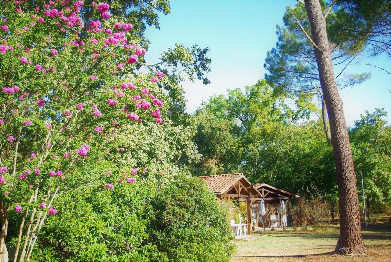 Les Chalets Du Gelat, Nature Et Calme Noaillan エクステリア 写真